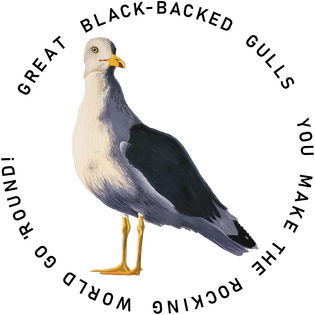 Black-Backed Gull - creature + graphic design